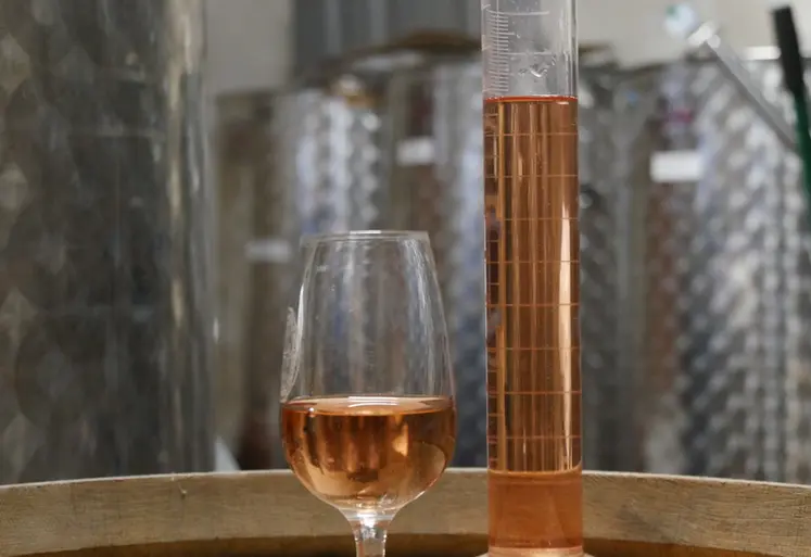 <em class="placeholder">Verre de vin rosé avec éprouvette dans un chai avec des cuves en inox</em>