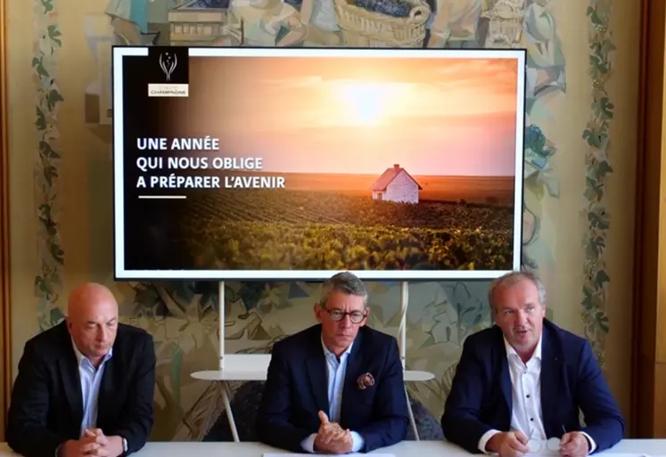 <em class="placeholder">de gauche à droite : Sébastien Debuisson, David Chatillon, Maxime Toubard lors de la conférence de presse sur le millésime du 9 septembre 2026 </em>