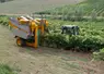 Les machines tractées séduisent de plus en plus les viticulteurs pour leur bonne rentabilité.