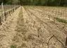 <em class="placeholder">Parcelle de vigne test du produit MunioDis.</em>