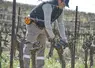 <em class="placeholder">Attacheur de vigne Pellenc Fixion 2</em>