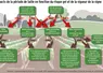 <em class="placeholder">GRAPHIQUE : Les critères de choix pour déterminer sa période de taille - Impacts de la période de taille en fonction du risque gel et de la vigueur de la vigne</em>