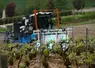 <em class="placeholder">Passage de la machine de stimulation de la vigne aux UV  d&#039;UV Boosting, dans des vignes en pente de Champagne. Au champagne Serge Mathieu à Avirey-Lingey dans l&#039;Aube, le 4 ...</em>