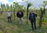 <em class="placeholder">La famille Hauselmann dans sa parcelle de kiwis. </em>