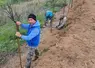 <em class="placeholder">Serge Depeyre du Clos des Fées pose une clôture autour d&#039;une parcelle de vigne</em>