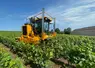 <em class="placeholder">Tracteur enjambeur Grégoire GS5 dans les vignes</em>