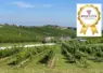Vue du salon italien Enovitis in campo
