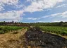   Parcelle de vigne des Corbières dans l’Aude touchée par le feu