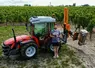 <em class="placeholder">Anthony Pantaleon, vigneron au Domaine Pantaleon Christian et fils, sur 21 ha, à Saint-Nicolas de Bourgueil, en Indre-et-Loire</em>