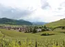 Paysage viticole autour d’un village alsacien