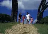 <em class="placeholder">tourisme viticole / oenotourisme / promenade familiale dans les vignes / randonneurs pédestres / parents / enfants</em>