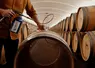 <em class="placeholder">Oak protect, tanins oenologiques pour remplacer le méchage des barriques</em>
