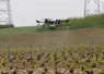 <em class="placeholder">Démonstration de traitement phytosanitaire (à l'eau) des vignes avec un drone, au Champagne Serge Mathieu, à Avirey-Lingey dans l'Aube, le 4 mai 2022. </em>