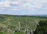 <em class="placeholder">Panorama du vignoble de Sancerre </em>