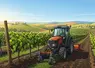 Dessin d'un tracteur vigneron dans des vignes.