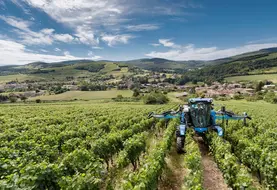 <em class="placeholder">Tracteur enjambeur New Holland 9.80 N dans les vignes avec une cellule de pulvérisation Berthoud</em>