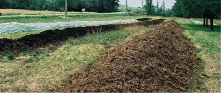 Le compost vert broyé de lavandin apparaît prometteur.