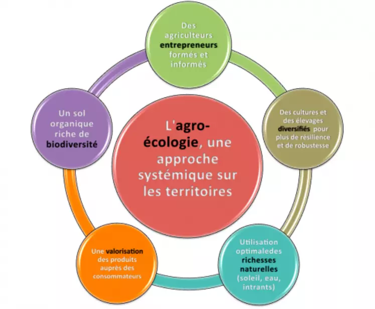 Accueil du MOOC AgroEcologie - Fruits confits