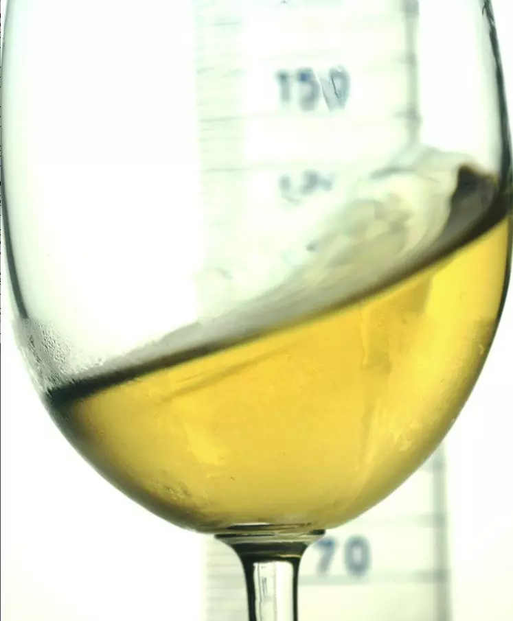 Origine
des arômes
des liquoreux
et vinification
des moûts issus
de la pourriture noble sont
les deux pistes
de travail
de l’ISVV.