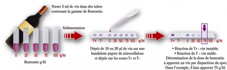 La détection par immunologie rend l'ajout de bentonite plus précis