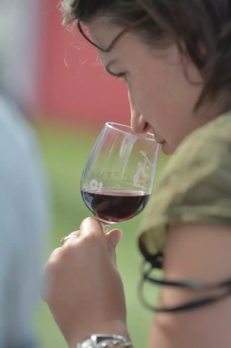 Différents projets de loi pourraient venir affecter la consommation de vin en 2013.