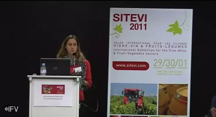 Lors du Sitevi, Valérie Pladeau, de l'AIVB LR, a fait le point sur les leviers sur lesquels jouer pour augmenter la durée de vie d'un vin bio en BIB.