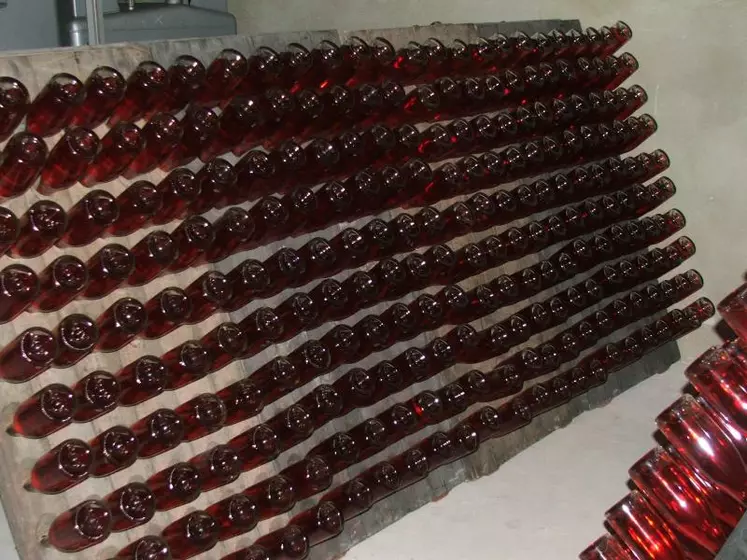 La Champagne mettra sur le marché l'équivalent de 305 millions de bouteilles issues de la campagne 2013.
