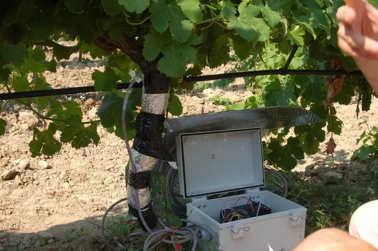 Le modèle prédictif de l’état hydrique des vignes, sur lequel planchent Montpellier SupAgro et l’Inra de Pech Rouge, permettra d'extrapoler une mesure sur un site de référence à tout un domaine ou tout un bassin de production.