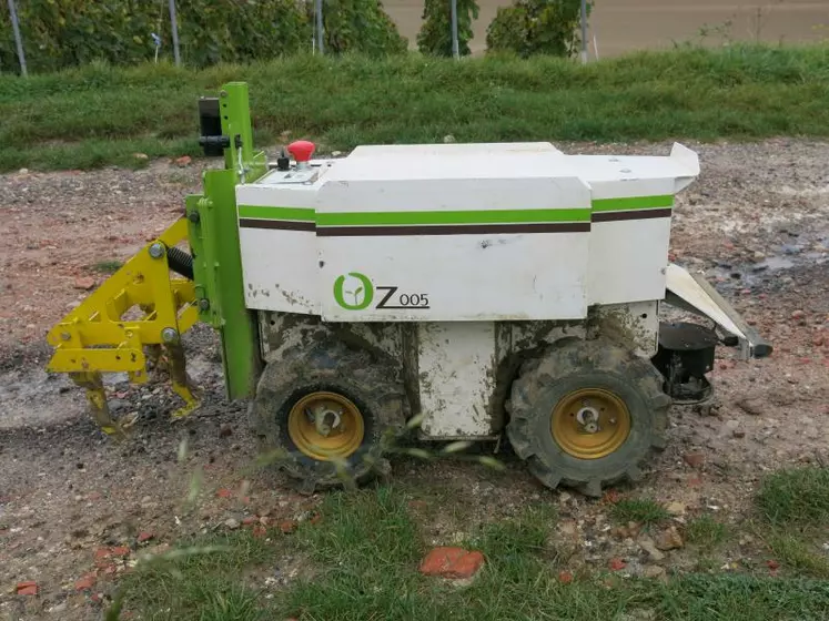 La version vigne d’Oz, ce robot de binage maraîcher, devrait être commercialisée en 2015.
