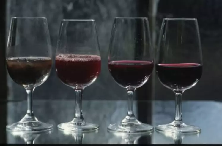 Les essais ont permis de déterminer à quelle dose l’emploi de tanin influence la couleur du vin en fonction de l’origine botanique des tanins et de l’intensité colorante du vin.