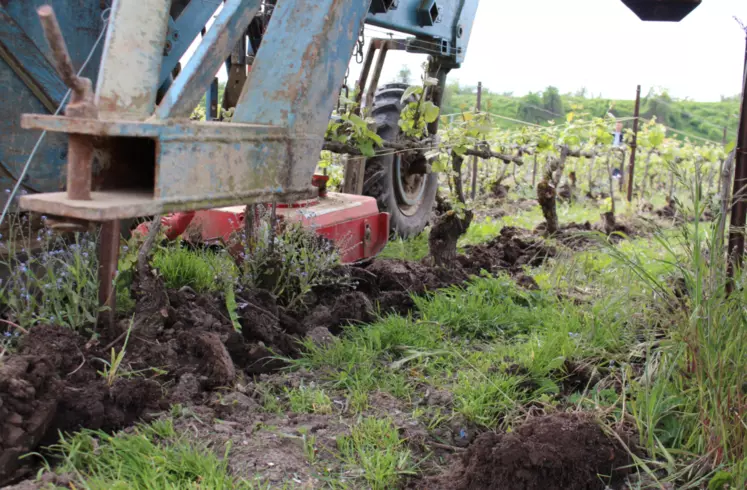 Travail du sol en vigne