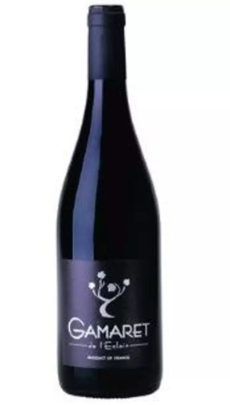 Les consommateurs enquêtés ont dégusté un vin rouge de cépage gamaret, produit 
au château de l’Eclair, domaine expérimental de la Sicarex Beaujolais, millésime 2010.