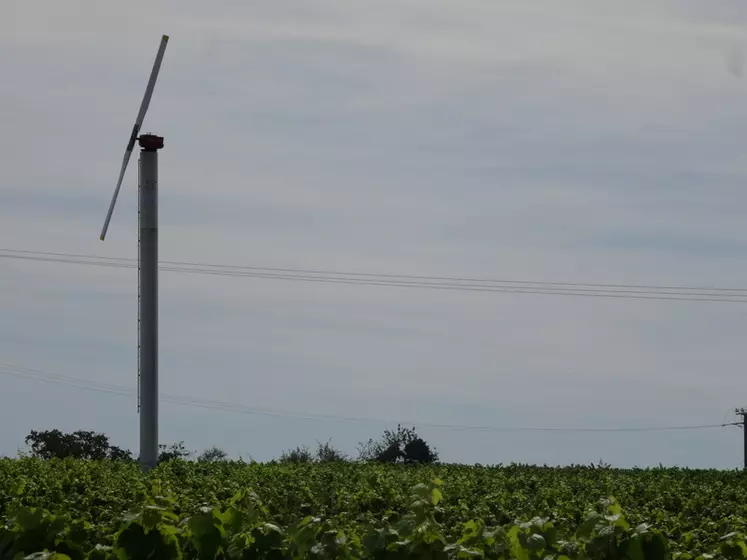 Cette chaufferette à bois protège la vigne du gel sans chauffer le