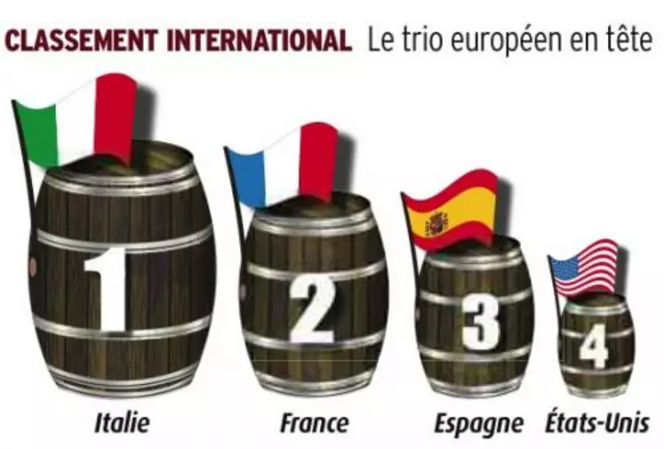 15 pays viticoles sont analysés par Viniflhor