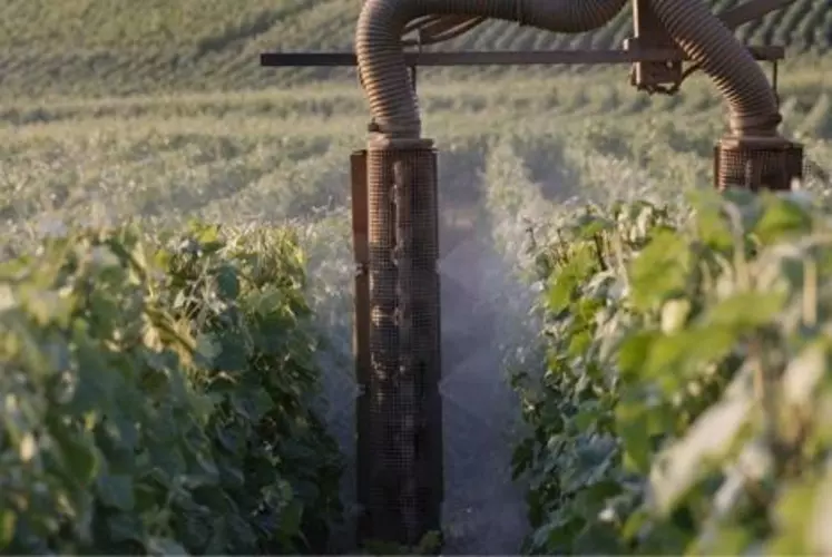 40 % des exploitations viticoles surdosent modérément les pesticides et 10 % surdosent fortement.