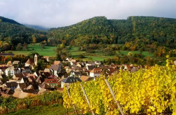 L'Alsace tout comme la Champagne ont tellement de spécificités qu'elles pourraient se suffire à elles-mêmes. Ce qui n'est pas forcément le cas des autres régions.