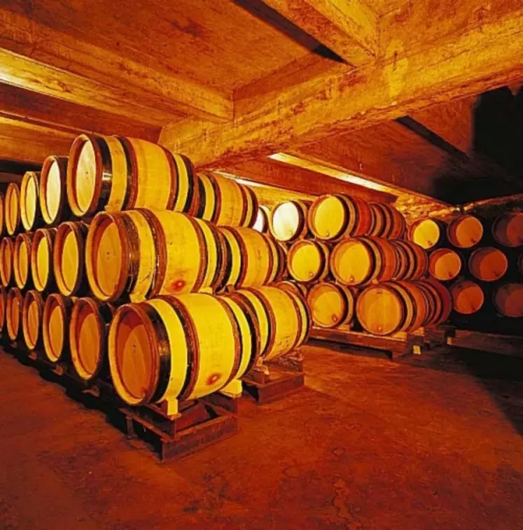 La typicité de l’Hermitage serait mieux préservée en élevage en barrique de 600 litres selon les essais, encore en cours, réalisés à la cave de Tain l’Hermitage.