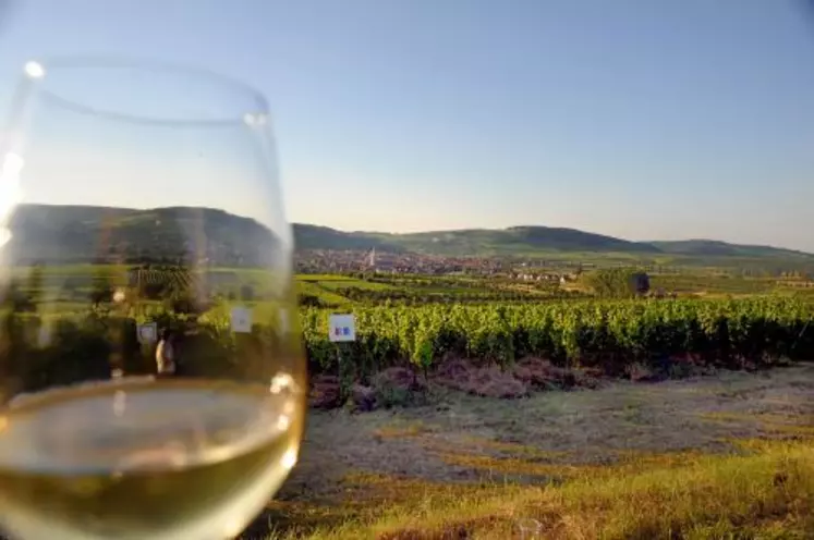 "Boire du vin, c'est boire de l'espace et du temps", Gilbert Garrier, historien.