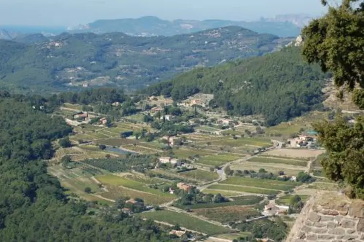 DANS CERTAINES ZONES DIFFICILES, seule la vigne permet un maintien de l’activité humaine. Permettre d’étendre les zones d’indemnités compensatoires pour handicap naturel aux zones difficiles de production d’AOP est l’une des demandes de la viticulture dans le cadre de sa revendication pour bénéficier de crédits supplémentaires du second pilier.