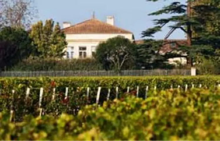 Le château Lynch Bages à Pauillac a sélectionné une souche indigène en 2013 sur merlot avec le laboratoire Sarco.