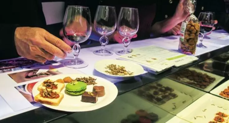 Un public varié, jeunes et plus vieux mêlés, a succombé à la tentation de cette “ Malbec insecticus ” dégustation.