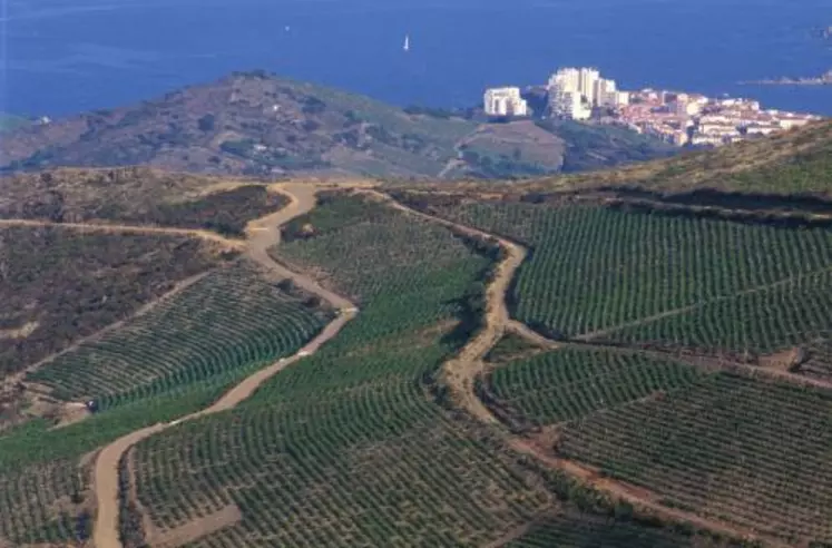 Les désherbants d'origine naturelle, s'ils sont abandonnés en Loire Atlantique, pourraient donner de meilleures résultats dans les conditions climratiques des Pyrénées-Orientales, moins favorables au developpement des adventices