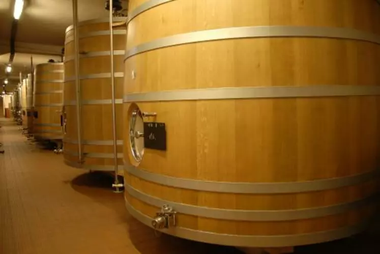 Des essais comparatifs d’élaboration en différents contenants montrent que les vins blancs aux arômes fragiles préservent mieux leur caractère fruité dans des cuves bois de 50 Hl ou des barriques de deux vins.