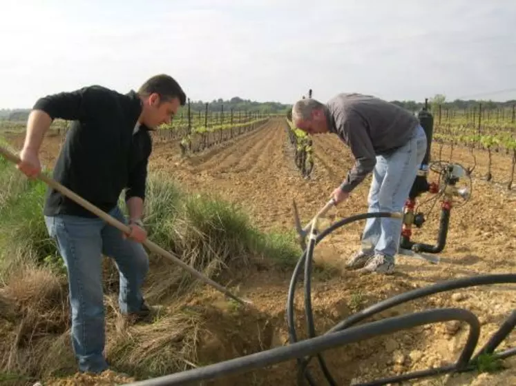 EN LANGUEDOC-ROUSSILLON,
23 000 ha de vignes bénéficient
de l’irrigation, soit 10 %
du vignoble.