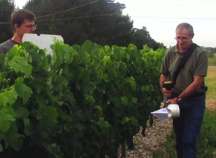 Le Greenseeker d'AvidorHighTech, passé un mois après floraison, donne un NDVI corrélé au taux final d'attaque de botrytis.