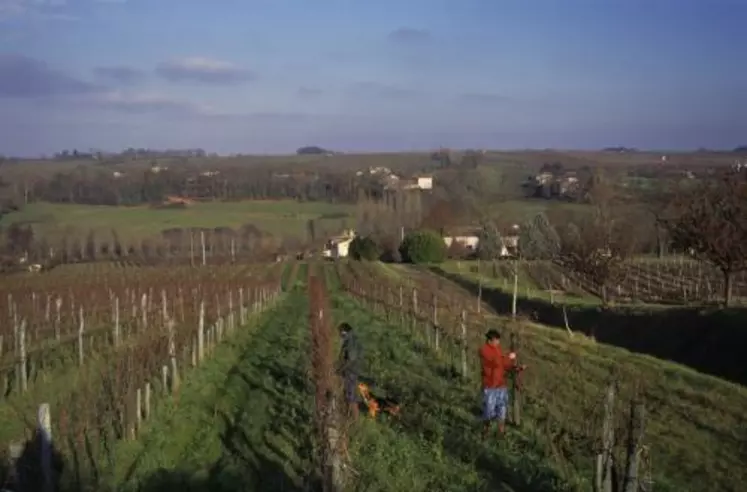 LES SYNDICATS ET INSTITUTIONS TRADITIONNELLES s’attèlent
à mettre en œuvre le plan bordeaux
avec de multiples projets.