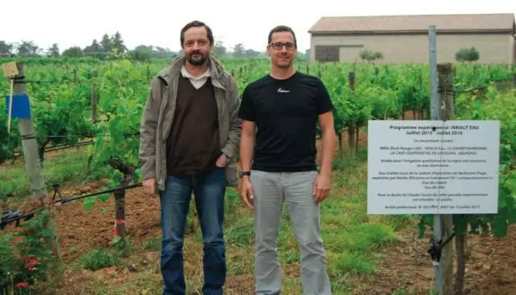 Hernan Ojeda, directeur de l’INRA 
de Gruissan (sur la gauche) 
et Frédéric Vrinat, directeur 
de la cave de Gruissan (sur la droite) 
sur le site d’expérimentation de 1,5 hectare 
à l’Inra de Gruissan.