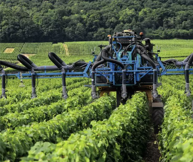 Quel que soit 
le mode de conduite, avec beaucoup ou peu d’intrants, la même biodiversité levurienne est retrouvée sur les raisins. En revanche, les souches diffèrent.