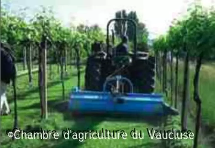 Le broyat issu de l'inter-rang est actuellement à l'étude comme solution de mulch sous le rang, par la chambre d'agriculture du Vaucluse.