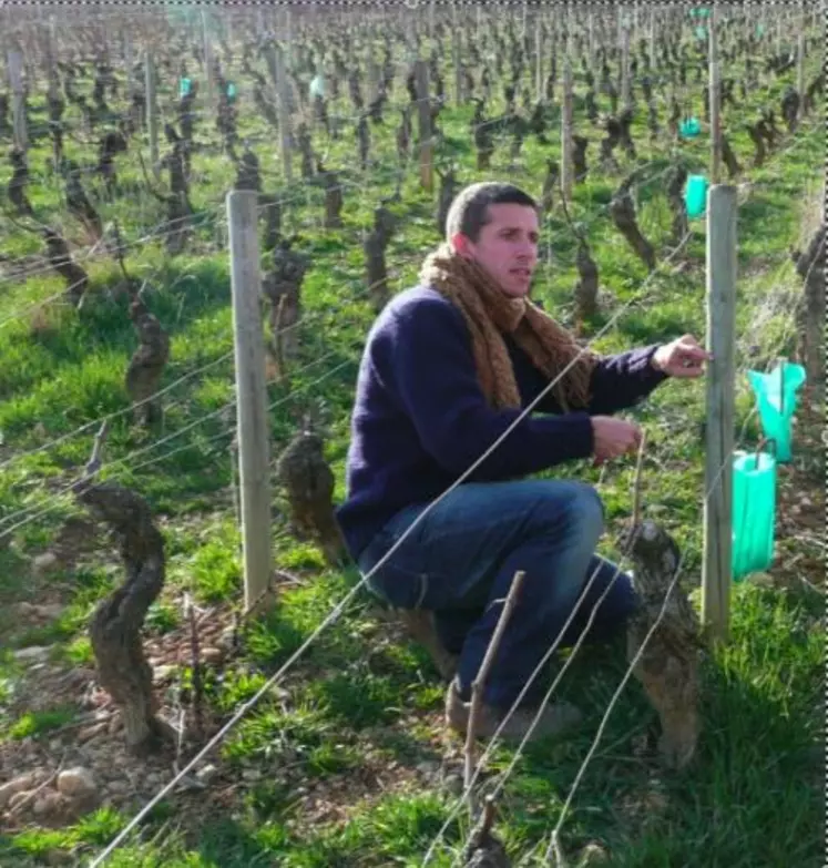 Des capteurs météorologiques ont été installés dans différents vignobles à travers le monde dont en France et notamment dans l’appellation aloxe-corton en Bourgogne